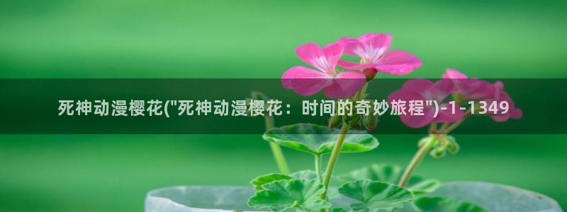 航海王樱花动漫