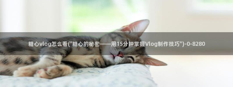 糖心vlog柚子猫内射：糖心vlog怎么看(\
