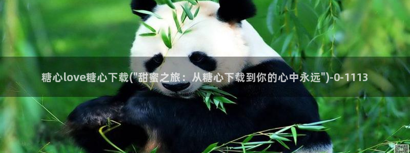 成人糖心vlog下载：糖心love糖心下载(\