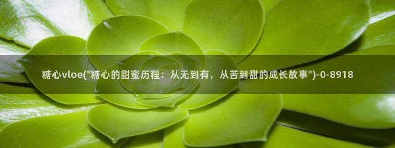 糖心vlog破译：糖心vloe(\