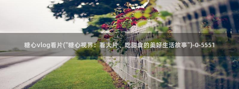 糖心vlog是啥：糖心vlog看片(\