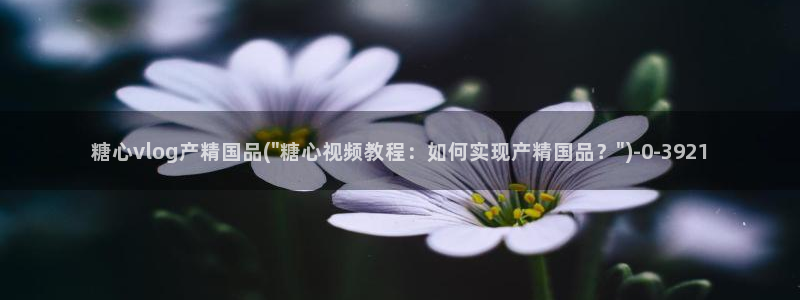 狐不妖糖心vlog：糖心vlog产精国品(\